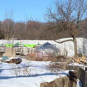 Hippo Exhibit Construction