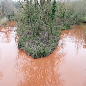 You know you're in South Devon when.....