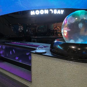 Grand Lobby - Moon Bay Exhibits