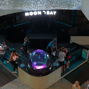Grand Lobby - Moon Bay Exhibits