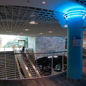 Grand Lobby - Upper Floor