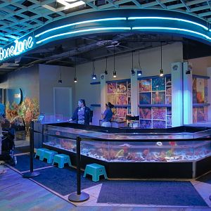 Grand Lobby - No Bone Zone Touchtank