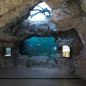 Wetlands Trail - Underground Spring Exhibit