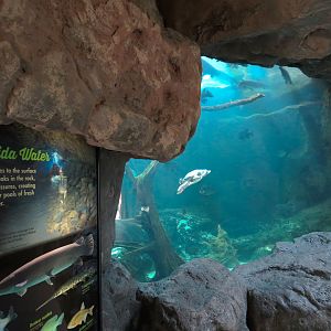 Wetlands Trail - Underground Spring Exhibit