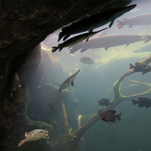 Wetlands Trail - Underground Spring Exhibit