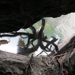 Wetlands Trail - Underground Spring Exhibit