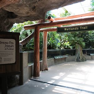 Wetlands Trail - Sping-fed Stream Exhibit
