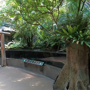 Wetlands Trail - Sping-fed Stream Exhibit