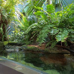 Wetlands Trail - Sping-fed Stream Exhibit