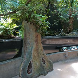 Wetlands Trail - Sping-fed Stream Exhibit