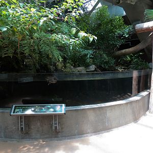 Wetlands Trail - Sping-fed Stream Exhibit