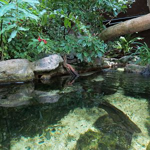 Wetlands Trail - Sping-fed Stream Exhibit