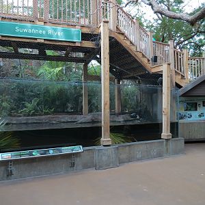 Wetlands Trail - Suwannee River Exhibit