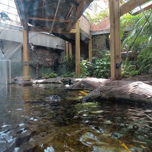 Wetlands Trail - Suwannee River Exhibit