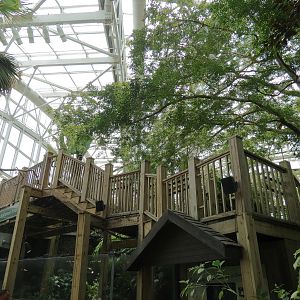 Wetlands Trail - Stairs and Skylit Roof Above Suwannee River Exhibit