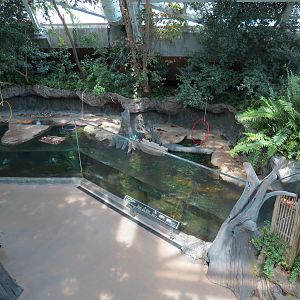 Wetlands Trail - Otter Den Exhibit
