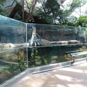 Wetlands Trail - Otter Den Exhibit