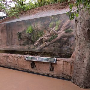 Wetlands Trail - Invasive Python Exhibit