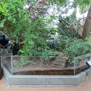 Wetlands Trail - Hardwood Hammock Exhibit