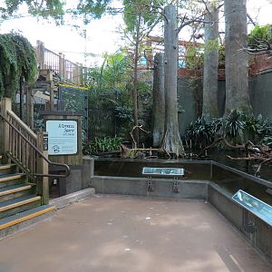 Wetlands Trail - Cypress Swamp Exhibit