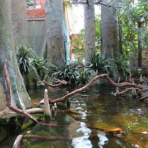 Wetlands Trail - Cypress Swamp Exhibit