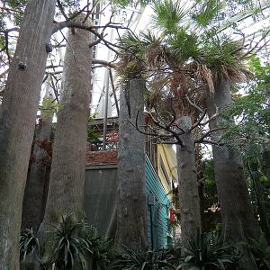 Wetlands Trail - Cypress Swamp Exhibit