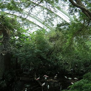 Wetlands Trail - Skylit Roof Above Cypress Swamp Exhibit