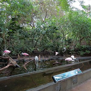 Wetlands Trail - Cypress Swamp Exhibit