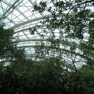 Wetlands Trail - Skylit Roof Above Mangrove Tunnel Exhibit