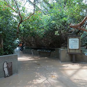 Wetlands Trail - Mangrove Tunnel Exhibit