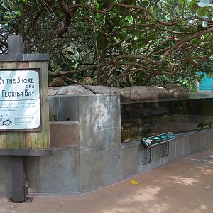 Wetlands Trail - Bay Shore Exhibit