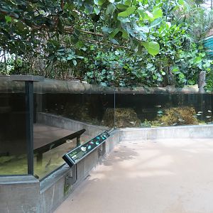 Wetlands Trail - Bay Shore Exhibit