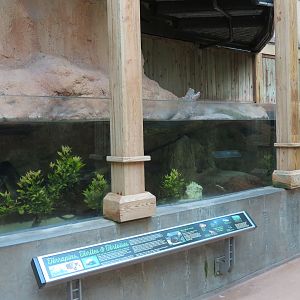Wetlands Trail - Terrapins, Turtles, and Tortoises Exhibit