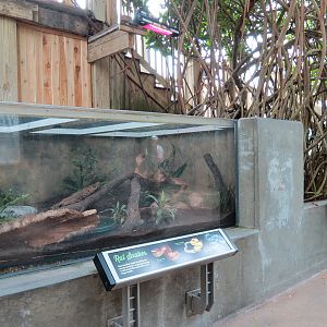 Wetlands Trail - Ratsnake Exhibit