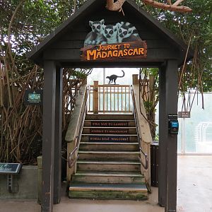 Journey To Madagascar - Entry