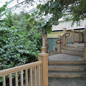 Journey To Madagascar - Entry