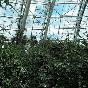 Journey To Madagascar - View of Skylit Roof
