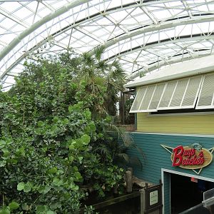 Journey To Madagascar - Entry