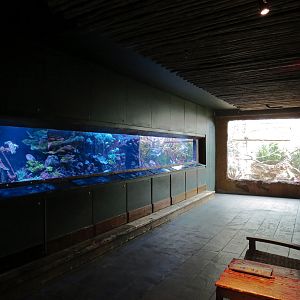 Journey To Madagascar - Reef Exhibit
