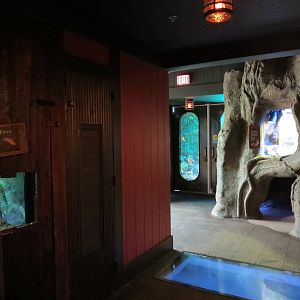 Journey To Madagascar - Tomato Frog Exhibit and Hallway