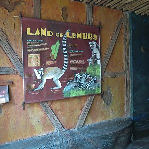 Journey To Madagascar - Land of Lemurs Exhibit