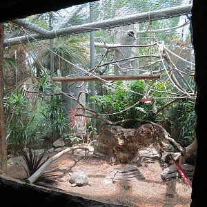 Journey To Madagascar - Land of Lemurs Exhibit