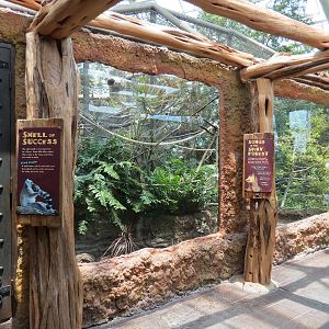 Journey To Madagascar - Land of Lemurs Exhibit