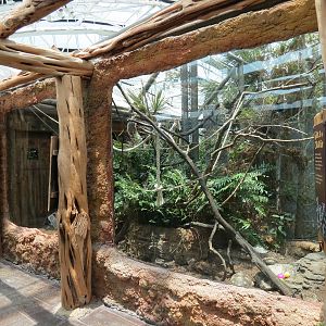 Journey To Madagascar - Land of Lemurs Exhibit