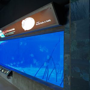 Bays & Beaches - Safe Harbors Exhibit