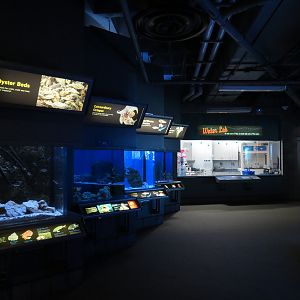 Bays & Beaches - Wall Exhibits