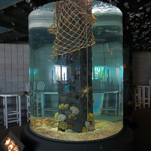 Bays & Beaches - Round Column Exhibit