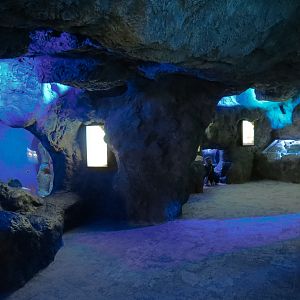 Coral Reefs - Coral Caves Exhibits