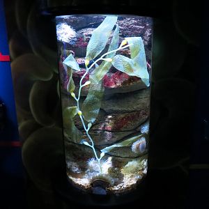 Waves Of Wonder - Cool Tide Pools Exhibit