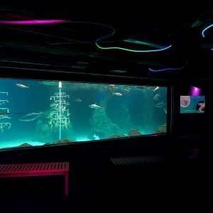 Waves Of Wonder - Heart Of The Sea Exhibit